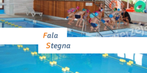 Fala Stegna