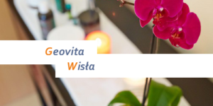 Geovita Wisła